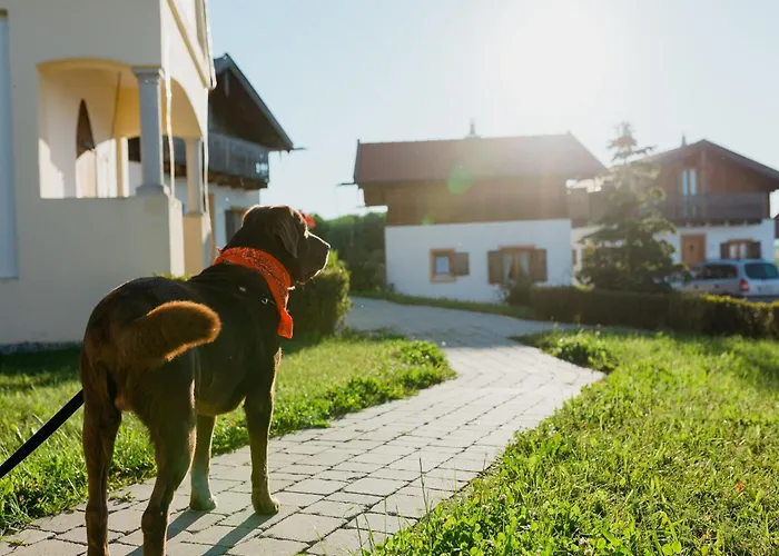Tatil Evi Im Landhausstil Im Vital Camp *